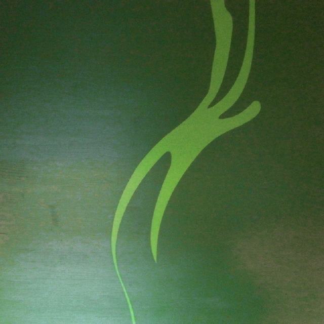 Holzbild "Weiblicher-Akt #1, grün" / 2013 / 70 x 70 cm / RW417G / EUR 500,00